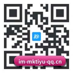系统版 iOS 二维码
